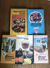 Lot 5 carti despre prepararea sucurilor si bauturilor / R7P1F