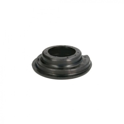 Rulment sarcina suport arc RENAULT ESPACE IV (JK0/1_) 3.5 V6 (JK00 JK0F JK0P JK0S JK0W) 2002 - preze foto