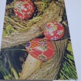 CARTE POSTALA FELICITARE PASTI CIRCULATA