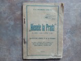 Hienele la Pradă&rdquo; - D.A. Gheorghiu-Cirișanu , 1924, Critică Vintilă Brătianu