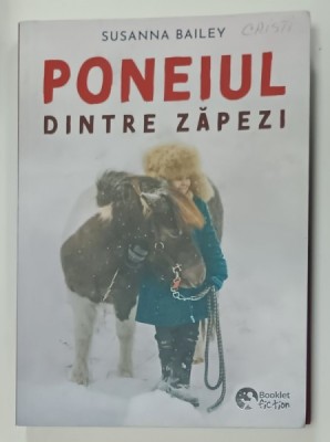 PONEIUL DINTRE ZAPEZI de SUSANNA BAILEY , 2024 foto