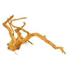 Cuckoo Root radacina pentru acvariu - 46 x 26 x 23 cm foto