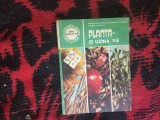 w1 PLANTA - O UZINA VIE-DOINA-LIANA TOMA, AL. MANOLIU, VALERIU ZANOSCHI