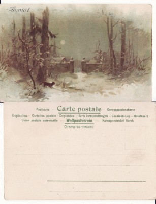 Ilustrata animale -vulpe- vanatoare foto