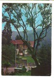 CPIB 18440 CARTE POSTALA - SINAIA. VILA PE FURNICA