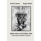 MEGA ANUL ELECTORAL 2024 : democratia electoralista in Romania