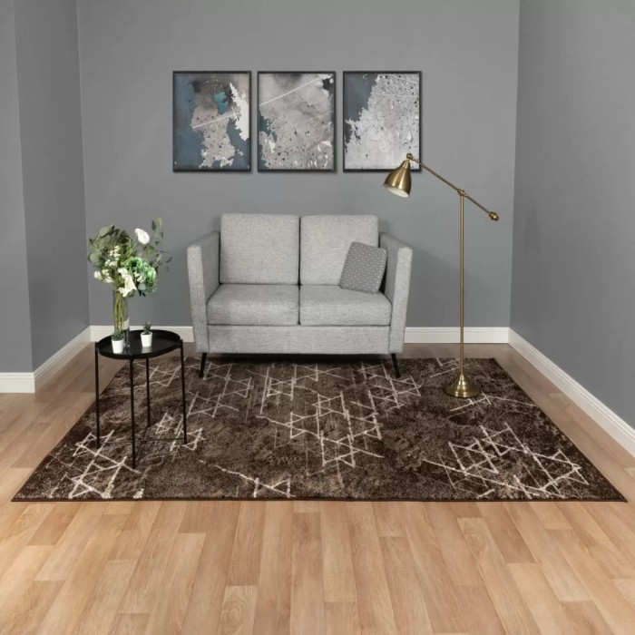 Covor Modern, Mira 24032, Maro, Diverse Dimensiuni - 50x80 cm