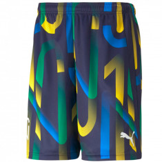 Pantaloni scurti Puma Neymar Jr Future Printed Short 605552-06 multicolor