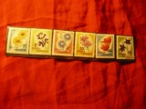 Serie Romania 1975 - Flora - Flori de stepa , 6 valori, Nestampilat
