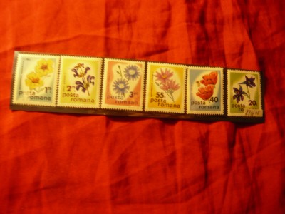 Serie Romania 1975 - Flora - Flori de stepa , 6 valori foto