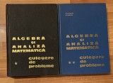 Algebra si analiza matematica de D. Flondor, N. Donciu (2 vol.)