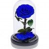 Trandafir Criogenat albastru &Oslash;8cm in cupola sticla 10x20cm