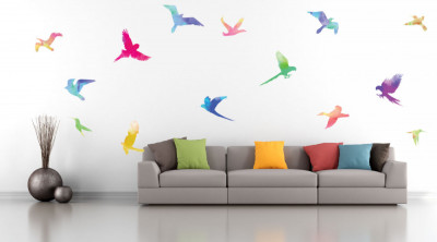 Sticker Decorativ - Coloured-Birds foto