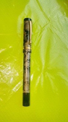 E404-Stilou vechi PRIMARIA TIMISOARA PENITA Iridium Point alama nefunctional. foto