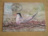 C12 - maxima Romania - tematica pasari 29 - prima zi a emisiunii sau expozitii, Romania de la 1950, Fauna