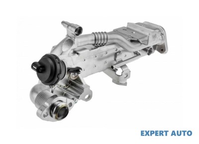 Radiator recirculare gaze BMW X5 (2007-&amp;gt;) [E70] #1 foto
