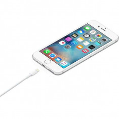 Apple iPad 4 Lightning to USB Cablu Original foto