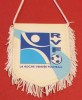 Fanion fotbal - LA ROCHE VENDEE FOOTBALL (Franta)