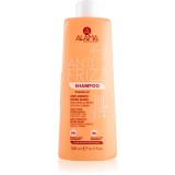 Alama Professional Anti Frizz Gloss Shampoo șampon anti-electrizare 500 ml