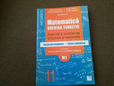 Valentin Nicula, Petre Simion - Matematica. Clasa a XI-a. Breviar teoretic M1 foto