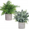 Wlyn 2 pachete de plante artificiale &icirc;n ghiveci, eucalipt artificial și rozmarin