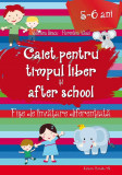 Caiet pentru timpul liber si after school. Fise de invatare diferentiata pentru 5-6 ani | Valentina Iliescu, Florentina Vasui, Paralela 45