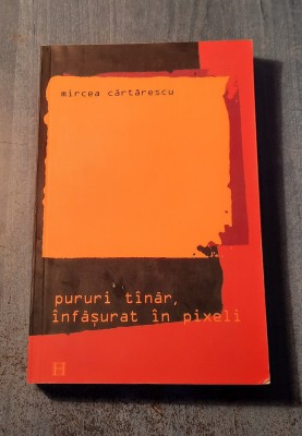 Pururi tanar infasurat in pixeli Mircea Cartarescu foto