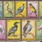 DB1 Fauna Pasari Burundi 1965 Posta Aeriana 9 v. MNH