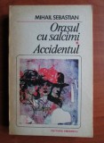 Mihail Sebastian - Orasul cu salcami. Accidentul