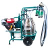 Aparat de muls cu 2 posturi și 1 bidon inox, cu motor termic