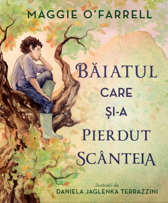 Baiatul Care Si-A Pierdut Scanteia, Maggie O, Farrell - Editura DPH foto