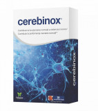 Cerebinox&reg; - Protecție Cerebrală și Antioxidantă pentru &Icirc;mbunătățirea