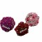 Set 3 globuri cu licheni stabilizati si mesaje (Multicolor)