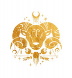 Cumpara ieftin Sticker decorativ Zodiac, Auriu, 60 cm, 5466ST, Oem