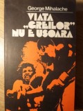 VIATA GREILOR NU E USOARA-GEORGE MIHALACHE-235185