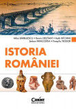 Istoria Rom&acirc;niei - Paperback brosat - Dennis Deletant, Keith Hitchins, Mihai Bărbulescu, Şerban Papacostea, Teodor Pompiliu - Corint