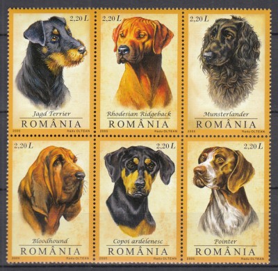 ROMANIA 2005 LP 1694 CAINI DE VANATOARE SERIE IN BLOC MNH foto
