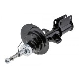 Amortizor fata Bmw X5 2001-2006, Stanga, 31306754341