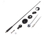 Antena Acoperiș AM/FM Ford 0,41m