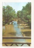 RF153 - Carte Postala - Timisoara. Canotaj pe Bega, circulata 1962