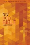 NIV, Outreach Bible, Large Print, Paperback