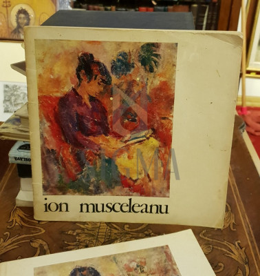 Ion Musceleanu Catalogul expozitiei din Noiembrie 1973, Sala Dalles foto