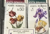 (1) Timbre Serii Romania Flori
