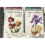 (1) Timbre Serii Romania Flori