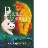 Pisicile razboinice. Cartea a IV-a. Furtuna (volumul 4) - Erin Hunter