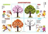 Plansa. Anotimpuri - Erc Press