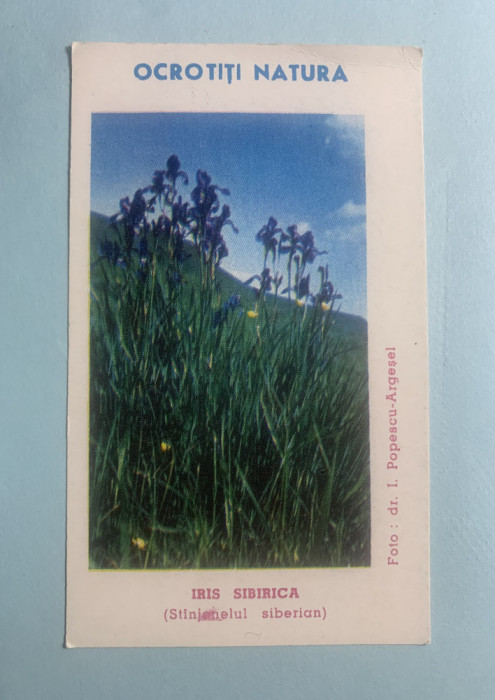 Calendar 1979 st&acirc;njenelul siberian foto I.Popescu Argesel