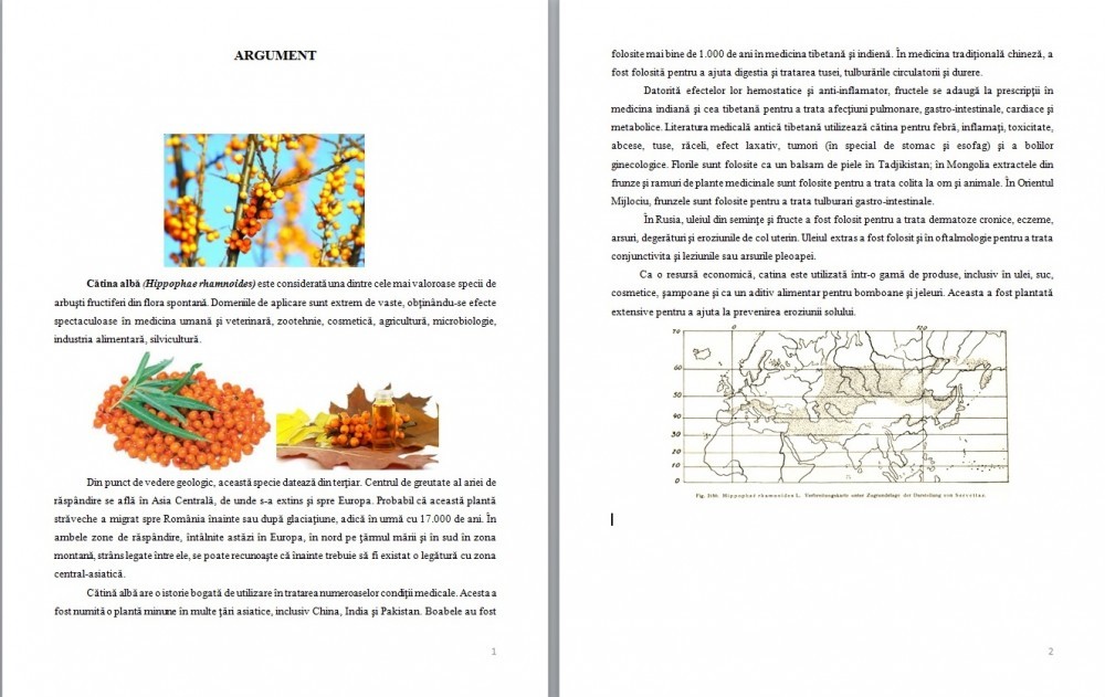 Catina Si Uleiul De Catina Lucrare De Licenta Amf Okazii Ro