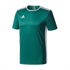 Tricou Adidas Entrada 18 - CD8358 foto