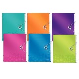 Mapa plastic cu 12 separatoare LEITZ WOW A4